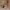 https://res.cloudinary.com/billionhands/image/upload/v1779171189/items/evti7dcbvyy7rne5cik2.webp-3cover