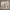 https://res.cloudinary.com/billionhands/image/upload/v1779171189/items/kngzmyugjh9jf1ey6zr0.jpg-3cover