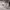 https://res.cloudinary.com/billionhands/image/upload/v1779171190/items/f5i80kt5pbdgcs44yma0.webp-2cover