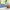 https://res.cloudinary.com/billionhands/image/upload/v1779171351/items/yxyuri6kvgshro1ceggi.jpg-1cover