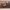 https://res.cloudinary.com/billionhands/image/upload/v1779172880/items/clwlgkfg4wvoaegmtvms.jpg-2cover