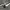 https://res.cloudinary.com/billionhands/image/upload/v1779176146/items/yyqeqihgihmspsjdgxd9.jpg-2cover