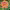 https://res.cloudinary.com/billionhands/image/upload/v1779176603/items/jmlqswummmfc0fntbfp4.webp-0cover