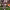 https://res.cloudinary.com/billionhands/image/upload/v1779176804/items/kkubzgqvlwx0wbhckzn4.jpg-3cover