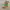 https://res.cloudinary.com/billionhands/image/upload/v1779177476/items/cbnfvjwfavnuspdgkxjg.webp-2cover