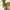 https://res.cloudinary.com/billionhands/image/upload/v1779185398/items/hcbhnvyxrn8fhqcigrrk.jpg-2cover