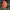 https://res.cloudinary.com/billionhands/image/upload/v1779187489/items/uaylwrfpgfvjmtsrzdeg.webp-1cover