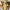 https://res.cloudinary.com/billionhands/image/upload/v1779190038/items/wzpbecyzdllckkwdulj4.jpg-0cover