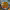https://res.cloudinary.com/billionhands/image/upload/v1779190041/items/uddz8siy5tqed5dpiyr7.jpg-0cover