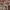 https://res.cloudinary.com/billionhands/image/upload/v1779194620/items/ojjgy7ebbx9jrl2txqtn.avif-2cover