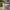 https://res.cloudinary.com/billionhands/image/upload/v1779194626/items/dbphtcalveuiua33cybx.jpg-2cover