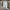 https://res.cloudinary.com/billionhands/image/upload/v1779195332/items/rrbant9tihqsjd7zhky3.jpg-3cover
