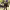 Hyouka cover