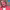 https://res.cloudinary.com/billionhands/image/upload/v1779202798/items/qy2qfu88exvotixrtfjw.jpg-2cover
