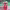 https://res.cloudinary.com/billionhands/image/upload/v1779203179/items/s60susbxifvvmyc2rvv9.jpg-3cover