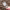 https://res.cloudinary.com/billionhands/image/upload/v1779205281/items/jfwyhtega0rng8ivqnin.jpg-2cover