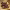 https://res.cloudinary.com/billionhands/image/upload/v1779207557/items/b5hqfcssttivz3qcytcy.jpg-1cover