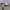 https://res.cloudinary.com/billionhands/image/upload/v1779208942/items/pbmw6zakmpblrm8shqjd.webp-2cover