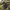 https://res.cloudinary.com/billionhands/image/upload/v1779211151/items/l06lqas48co1xixderue.jpg-1cover