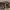 https://res.cloudinary.com/billionhands/image/upload/v1779211159/items/zvklpvyzxqamujlyxqjc.jpg-2cover