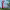 https://res.cloudinary.com/billionhands/image/upload/v1779211161/items/lmdqd7g78clsorxtwalb.jpg-0cover