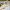 https://res.cloudinary.com/billionhands/image/upload/v1779214380/items/t7794m2ljcfhjyvslali.avif-2cover