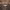 https://res.cloudinary.com/billionhands/image/upload/v1779214994/items/idf28pzvv2f3kkieazqb.jpg-2cover