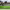 https://res.cloudinary.com/billionhands/image/upload/v1779222365/items/vrqhq4oqha8lqvhxsckz.jpg-2cover