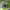 https://res.cloudinary.com/billionhands/image/upload/v1779226817/items/x0k419wfqnjvfyvvmcgv.jpg-2cover
