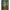 https://res.cloudinary.com/billionhands/image/upload/v1779227082/items/ptxhan5yngyzyhdyybac.png-2cover