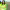 https://res.cloudinary.com/billionhands/image/upload/v1779231810/items/v3aead09dmqe60w3m8m2.jpg-1cover