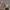 https://res.cloudinary.com/billionhands/image/upload/v1779231924/items/fckkggxiuu3krx4bsntr.jpg-2cover