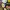 https://res.cloudinary.com/billionhands/image/upload/v1779244005/items/ysombttfyn47comkhwmb.jpg-2cover