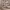 https://res.cloudinary.com/billionhands/image/upload/v1779244971/items/ewawdqbnmbpot45gjti7.avif-3cover