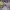 https://res.cloudinary.com/billionhands/image/upload/v1779248155/items/lwmgslkuzkfi9xmus29q.webp-2cover