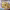 https://res.cloudinary.com/billionhands/image/upload/v1779253245/items/s8zbndgctryugomrydvh.webp-3cover