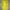 https://res.cloudinary.com/billionhands/image/upload/v1779255076/items/ypnnf0ku5lhzuvzr8ugu.jpg-0cover