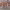 https://res.cloudinary.com/billionhands/image/upload/v1779261980/items/v01fowkuzzieijzpaur8.jpg-0cover