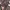 https://res.cloudinary.com/billionhands/image/upload/v1779265469/items/bcv0gkkqwhwqr0t7l2gi.jpg-0cover