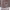 https://res.cloudinary.com/billionhands/image/upload/v1779265718/items/vuvxqe9gddi0apsypcuo.png-0cover