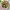 https://res.cloudinary.com/billionhands/image/upload/v1779266015/items/tcsvvep7ewwshpjomp8m.jpg-2cover