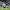 Gol de falta directa de Toni Kroos vs Suecia (Mundial 2018) cover