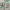https://res.cloudinary.com/billionhands/image/upload/v1779271154/items/rheix6gyejactl3lkz8a.jpg-0cover