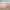 https://res.cloudinary.com/billionhands/image/upload/v1779273159/items/lwqm0miyrtrnhxzrhs4e.jpg-1cover