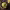 https://res.cloudinary.com/billionhands/image/upload/v1779274998/items/utm5g1qzyilasfvxvzyf.jpg-0cover