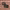 https://res.cloudinary.com/billionhands/image/upload/v1779276040/items/twt2ddvkslmr0gye9jns.webp-2cover