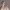 https://res.cloudinary.com/billionhands/image/upload/v1779276074/items/jrlqfy1crfgfsz2vwlrp.jpg-3cover