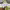 https://res.cloudinary.com/billionhands/image/upload/v1779276480/items/ftdbaxxjsaf4uefnkb9m.jpg-0cover