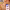 https://res.cloudinary.com/billionhands/image/upload/v1779277650/items/hycrtguteby2mmllpjzf.jpg-0cover