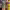 https://res.cloudinary.com/billionhands/image/upload/v1779278924/items/snixzwhywqjbvvfkekdd.jpg-0cover